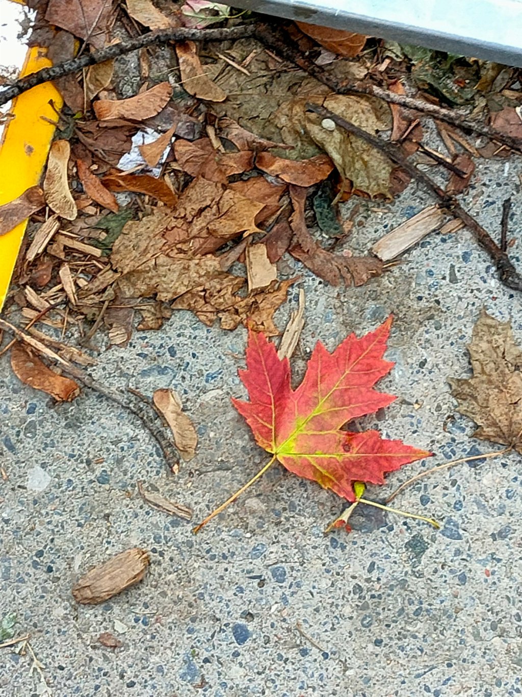 Le voyage au&nbsp;Canada